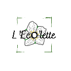 My Website